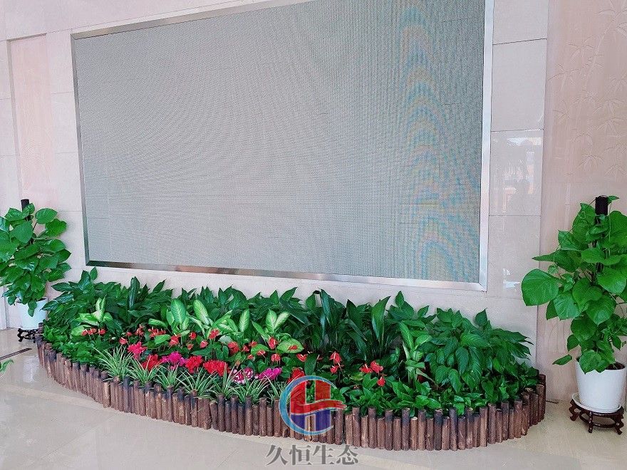 黄岩企业大厅显示屏组合花卉绿植摆放